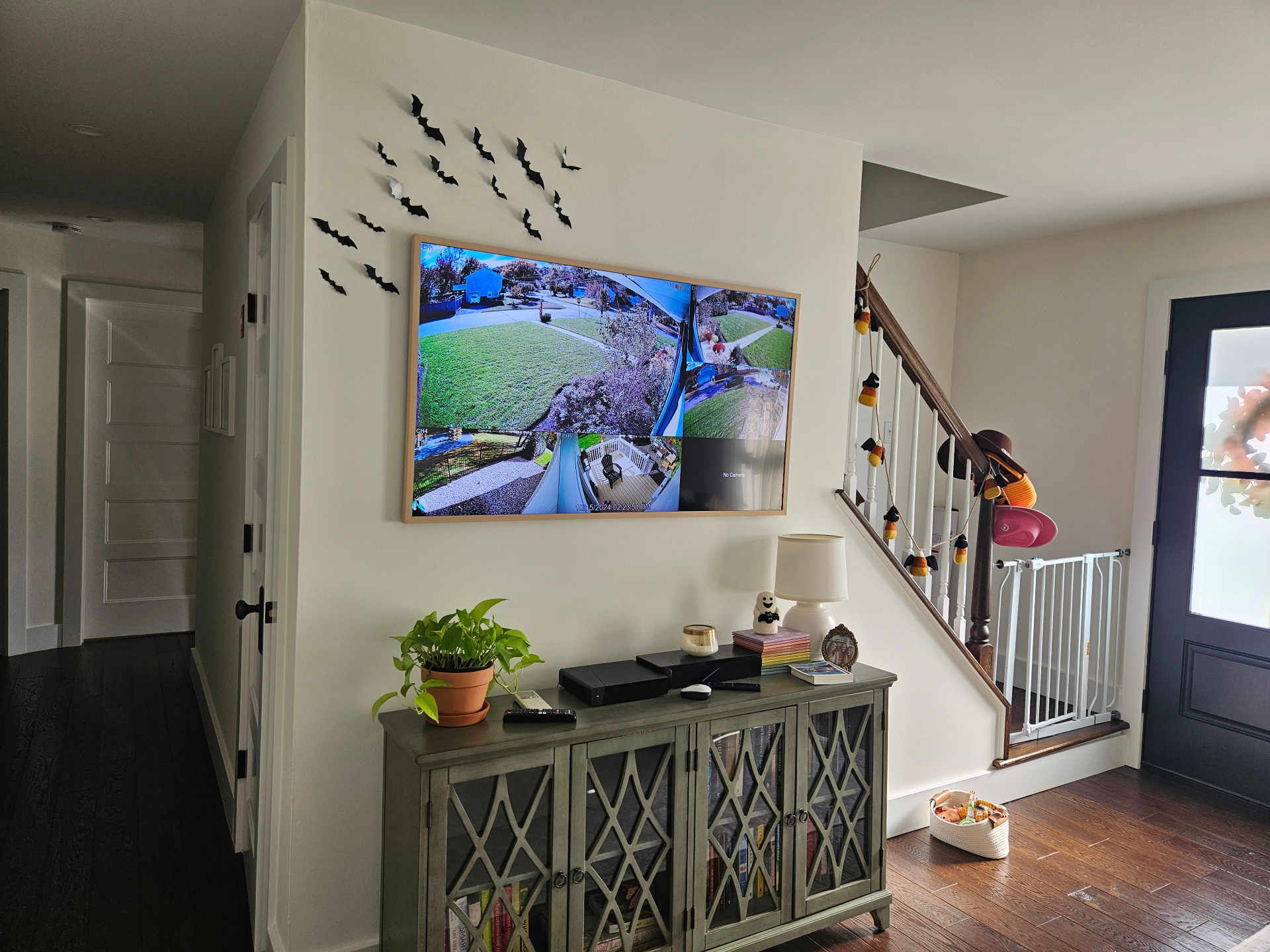 Multi-Camera Monitoring